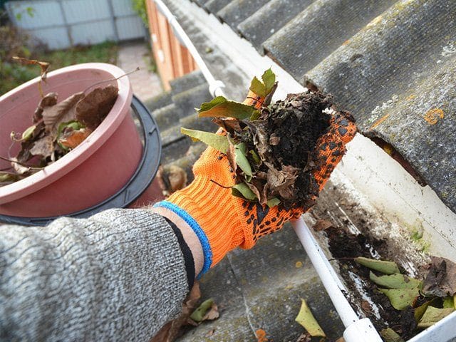 Gutter Cleaning Is Critical