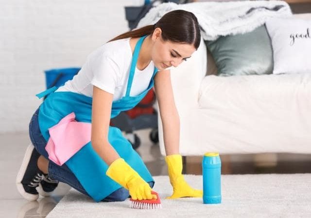 Commercial Carpet Cleaning Services