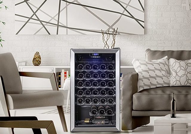 When Buying a Wine Fridge