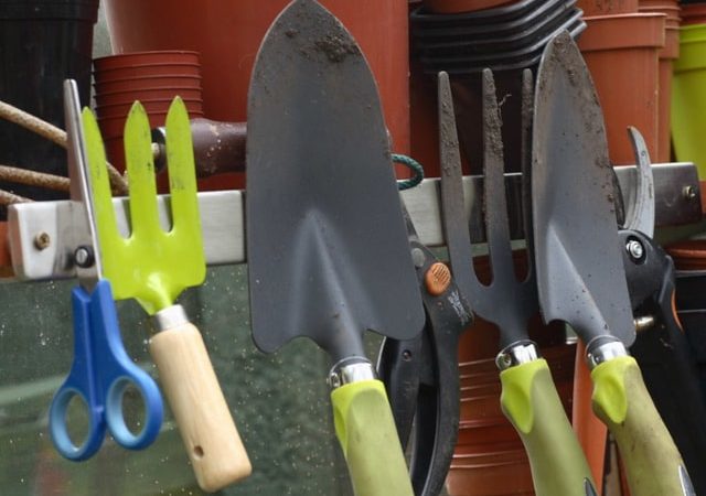 Basic Gardening Tools and Equipment