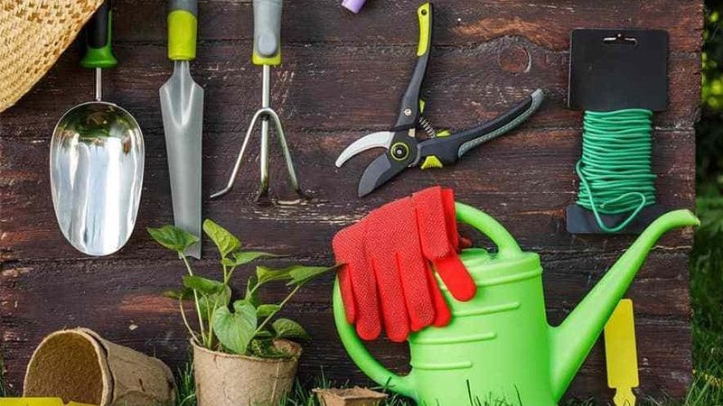 Basic Gardening Tools and Equipment