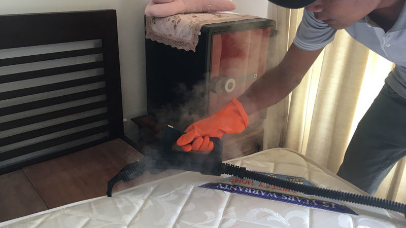 Pest Control for Carpet Beetles