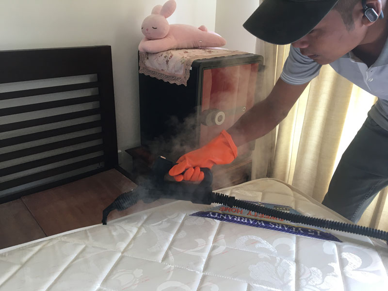 Pest Control for Carpet Beetles