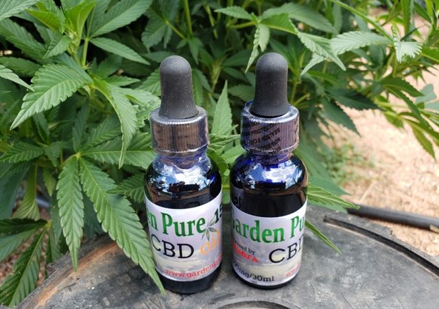 CBD Oil Effects