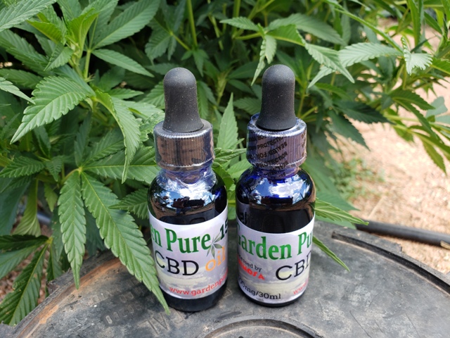 CBD Oil Effects